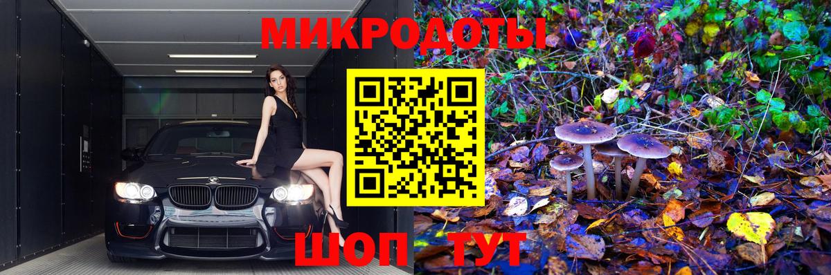 Псилоцибиновые грибы прущие грибы Кропоткин