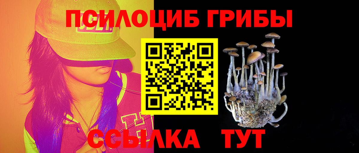 Псилоцибиновые грибы Cubensis  Вход с VPN  Кропоткин 